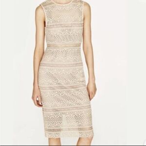Zara Semi-Sheer Lace Midi Dress Women's M Cream Nude Bodycon Minimalist EUC